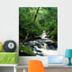 Owengarriff River, Killarney National Park, County Kerry, Ireland Wall Mural