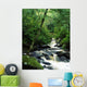 Owengarriff River, Killarney National Park, County Kerry, Ireland Wall Mural
