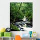 Owengarriff River, Killarney National Park, County Kerry, Ireland Wall Mural
