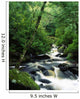 Owengarriff River, Killarney National Park, County Kerry, Ireland Wall Mural