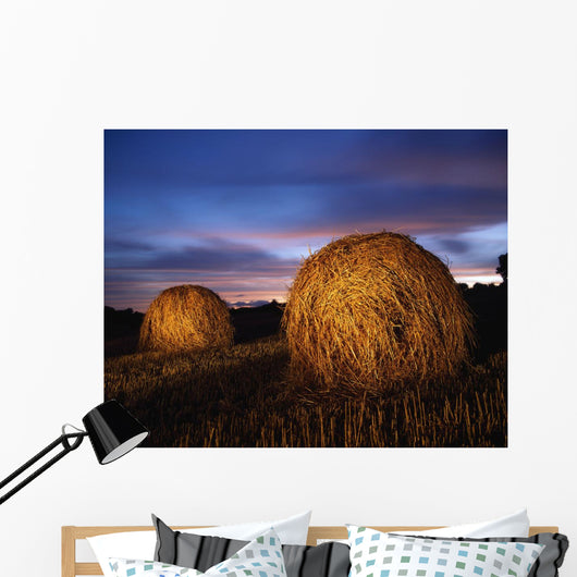 Ireland Wall Mural