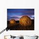 Ireland Wall Mural