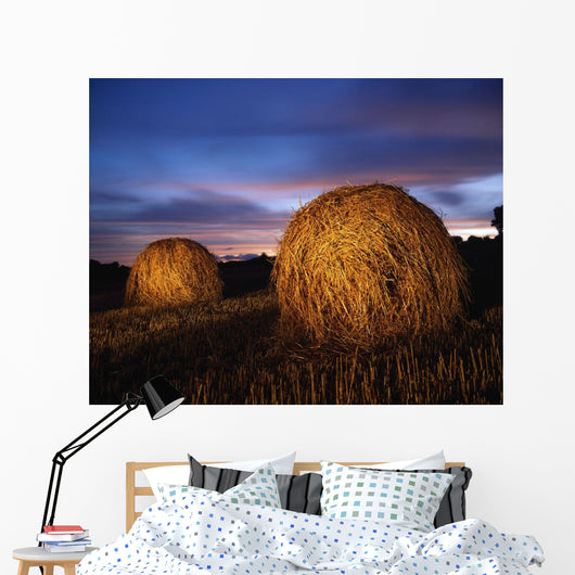 Ireland Wall Mural
