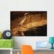 River Liffey, County Dublin, Ireland Wall Mural