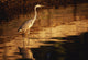River Liffey, County Dublin, Ireland Wall Mural