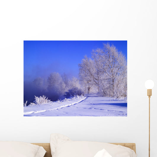 winter Wall Mural