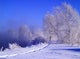 winter Wall Mural