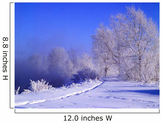 winter Wall Mural