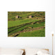 Slea Head, Dingle Peninsula, County Kerry, Ireland Wall Mural