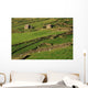 Slea Head, Dingle Peninsula, County Kerry, Ireland Wall Mural
