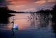 Lough Leane, Killarney National Park, County Kerry, Ireland Wall Mural
