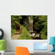 Glencar Waterfall, County Leitrim, Ireland Wall Mural