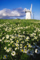 Millisle, County Down, Ireland Wall Mural