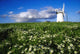 Millisle, County Down, Ireland Wall Mural