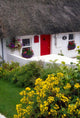 Dunmore East Harbour, County Waterford, Ireland Wall Mural