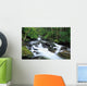 Owengarriff River, Killarney National Park, County Kerry, Ireland Wall Mural