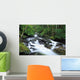 Owengarriff River, Killarney National Park, County Kerry, Ireland Wall Mural