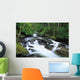 Owengarriff River, Killarney National Park, County Kerry, Ireland Wall Mural