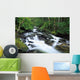 Owengarriff River, Killarney National Park, County Kerry, Ireland Wall Mural