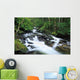 Owengarriff River, Killarney National Park, County Kerry, Ireland Wall Mural