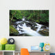 Owengarriff River, Killarney National Park, County Kerry, Ireland Wall Mural