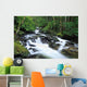 Owengarriff River, Killarney National Park, County Kerry, Ireland Wall Mural