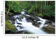 Owengarriff River, Killarney National Park, County Kerry, Ireland Wall Mural