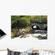 Galway's Bridge, Killarney National Park, County Kerry, Ireland Wall Mural