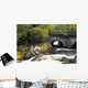 Galway's Bridge, Killarney National Park, County Kerry, Ireland Wall Mural
