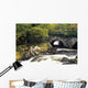 Galway's Bridge, Killarney National Park, County Kerry, Ireland Wall Mural