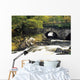 Galway's Bridge, Killarney National Park, County Kerry, Ireland Wall Mural