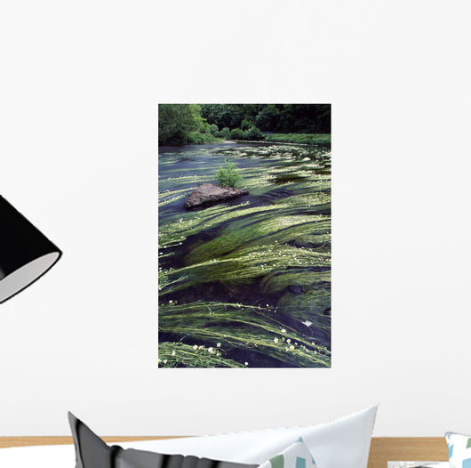 River Bandon, County Cork, Ireland Wall Mural