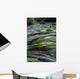 River Bandon, County Cork, Ireland Wall Mural