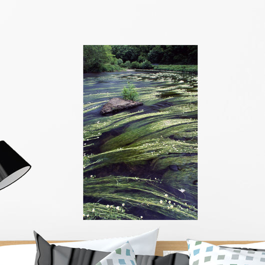 River Bandon, County Cork, Ireland Wall Mural