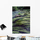 River Bandon, County Cork, Ireland Wall Mural