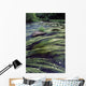 River Bandon, County Cork, Ireland Wall Mural