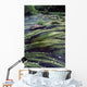 River Bandon, County Cork, Ireland Wall Mural