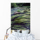 River Bandon, County Cork, Ireland Wall Mural