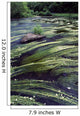 River Bandon, County Cork, Ireland Wall Mural