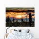 Sonoran Sunset Wall Decal