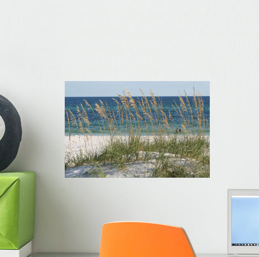 sea oats beach dune Wall Mural