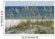 sea oats beach dune Wall Mural