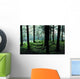 A Forest In Highlands, Scotland Wall Mural
