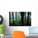 A Forest In Highlands, Scotland Wall Mural