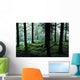 A Forest In Highlands, Scotland Wall Mural
