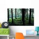 A Forest In Highlands, Scotland Wall Mural