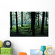 A Forest In Highlands, Scotland Wall Mural