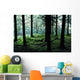 A Forest In Highlands, Scotland Wall Mural