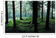 A Forest In Highlands, Scotland Wall Mural