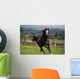 Thoroughbred Horses, Yearlings Wall Mural